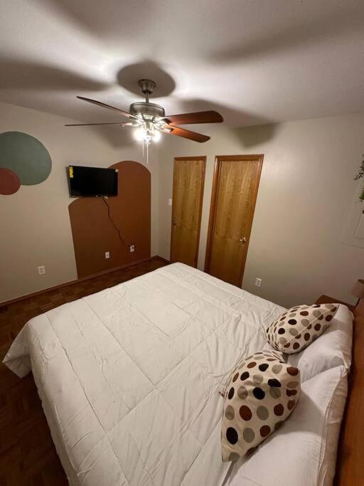 Mcallen 4Br With Pool, Shopping & More McAllen Exterior foto